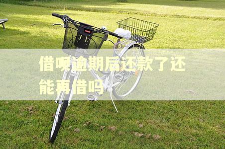 借呗逾期后还款了还能再借吗