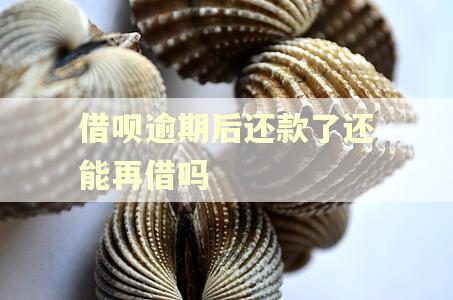 借呗逾期后还款了还能再借吗