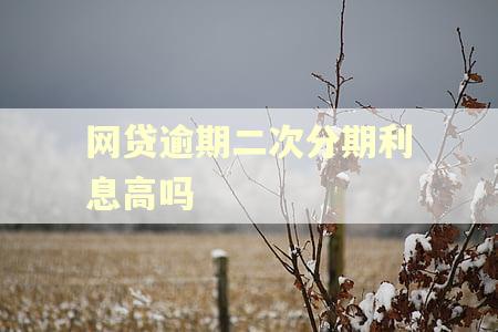 网贷逾期二次分期利息高吗 网贷逾期二次分期利息高吗