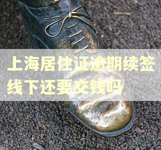 上海居住证逾期续签线下还要交钱吗