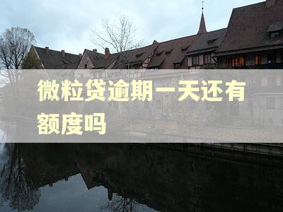 微粒贷逾期一天还有额度吗