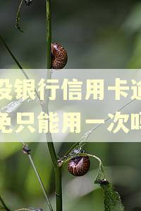 建设银行信用卡逾期减免只能用一次吗