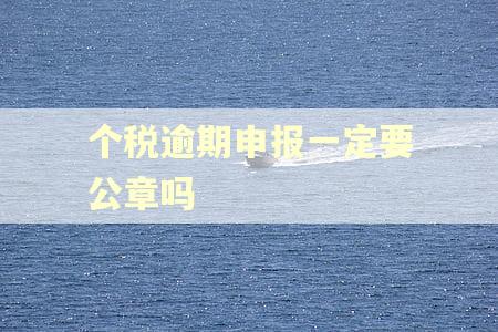 个税逾期申报一定要公章吗