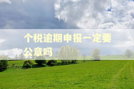 个税逾期申报一定要公章吗