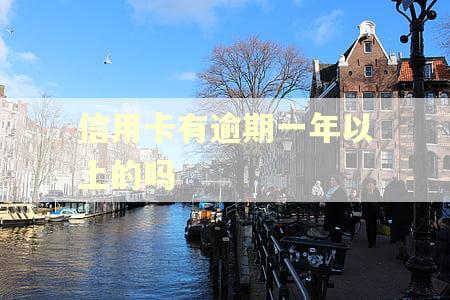 信用卡有逾期一年以上的吗