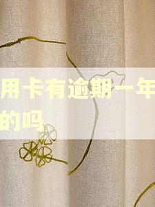 信用卡有逾期一年以上的吗