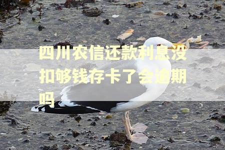 四川农信还款利息没扣够钱存卡了会逾期吗