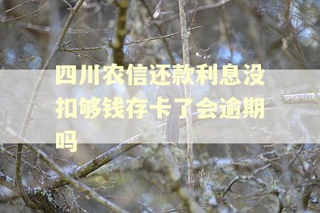 四川农信还款利息没扣够钱存卡了会逾期吗 四川农信还款利息没扣够钱存卡了会逾期吗
