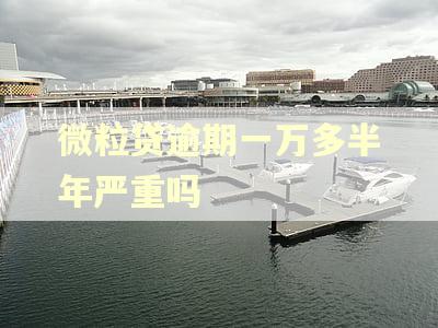微粒贷逾期一万多半年严重吗