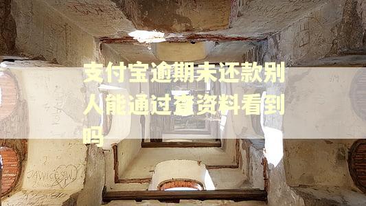 支付宝逾期未还款别人能通过查资料看到吗