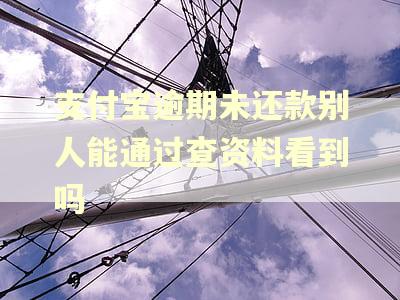 支付宝逾期未还款别人能通过查资料看到吗