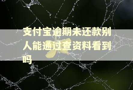 支付宝逾期未还款别人能通过查资料看到吗