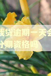 你我贷逾期一天会取消分期资格吗