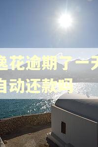 安逸花逾期了一天还会自动还款吗
