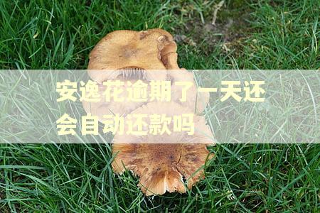 安逸花逾期了一天还会自动还款吗