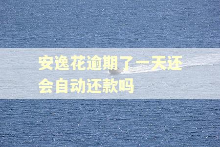 安逸花逾期了一天还会自动还款吗