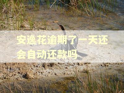 安逸花逾期了一天还会自动还款吗 安逸花逾期了一天还会自动还款吗