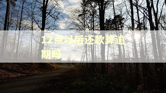 12点以后还款算逾期吗