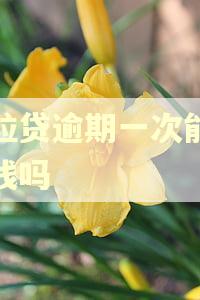 微粒贷逾期一次能贷出钱吗 微粒贷逾期一次能贷出钱吗
