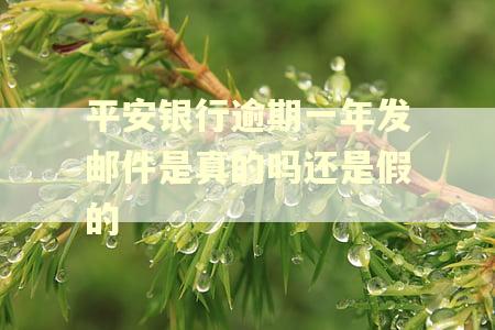 平安银行逾期一年发邮件是真的吗还是假的