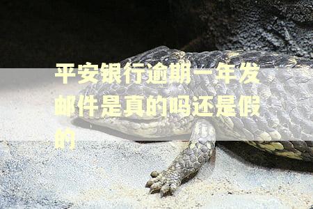 平安银行逾期一年发邮件是真的吗还是假的