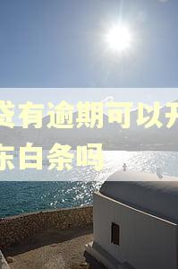 网贷有逾期可以开通京东白条吗 网贷有逾期可以开通京东白条吗