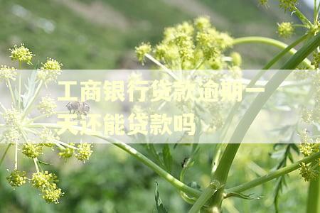 工商银行贷款逾期一天还能贷款吗