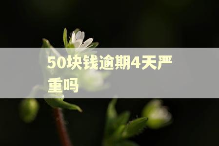50块钱逾期4天严重吗