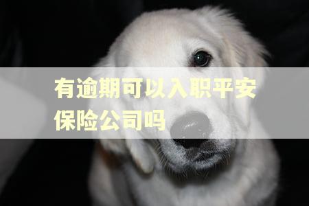 有逾期可以入职平安保险公司吗