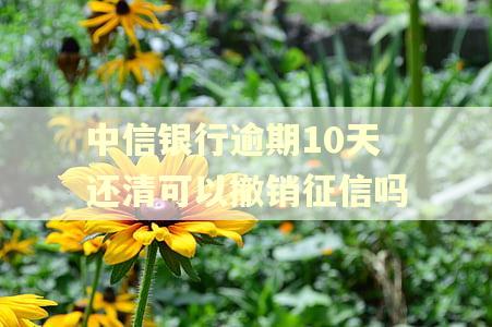 中信银行逾期10天还清可以撤销征信吗