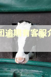 美团逾期有客服介入吗
