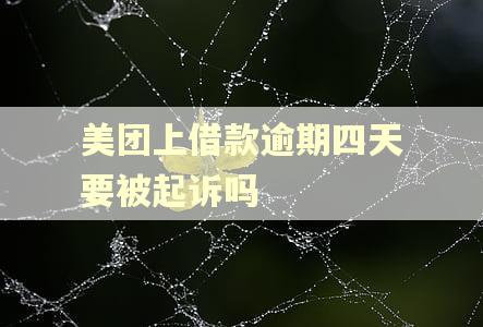 美团上借款逾期四天要被起诉吗