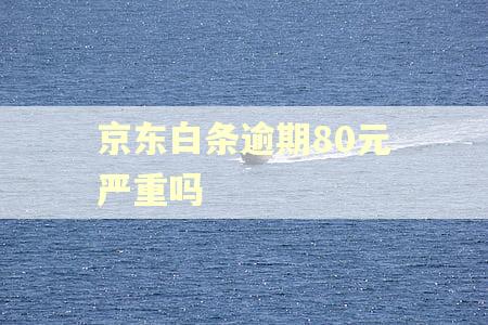 京东白条逾期80元严重吗