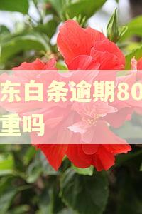 京东白条逾期80元严重吗