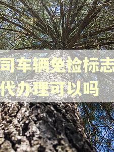 公司车辆免检标志逾期代办理可以吗