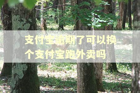 支付宝逾期了可以换个支付宝跑外卖吗