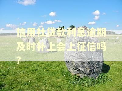 信用社贷款利息逾期及时补上会上征信吗?