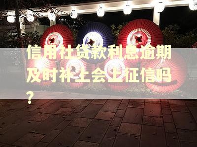 信用社贷款利息逾期及时补上会上征信吗?