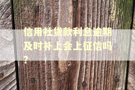 信用社贷款利息逾期及时补上会上征信吗?