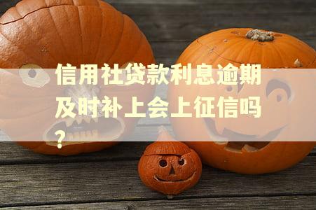 信用社贷款利息逾期及时补上会上征信吗?