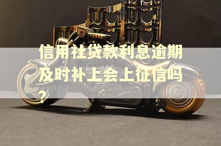 信用社贷款利息逾期及时补上会上征信吗? 信用社贷款利息逾期及时补上会上征信吗?