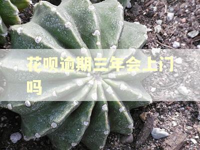 花呗逾期三年会上门吗