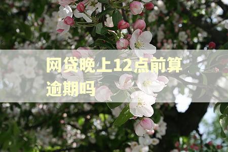 网贷晚上12点前算逾期吗 网贷晚上12点前算逾期吗