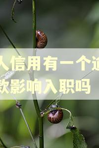 个人信用有一个逾期还款影响入职吗