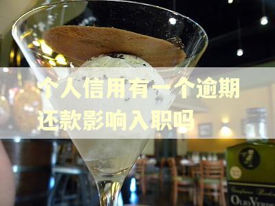 个人信用有一个逾期还款影响入职吗