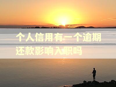 个人信用有一个逾期还款影响入职吗