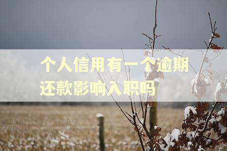 个人信用有一个逾期还款影响入职吗