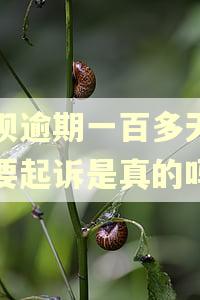 还呗逾期一百多天了说要起诉是真的吗
