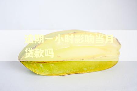 逾期一小时影响当月贷款吗
