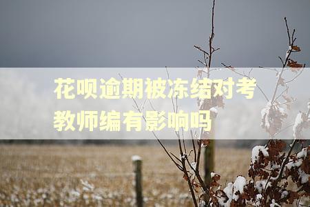 花呗逾期被冻结对考教师编有影响吗